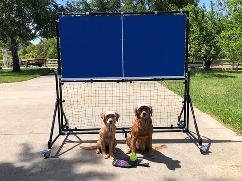 Pickleball Rebounder RTS Club Rebounder